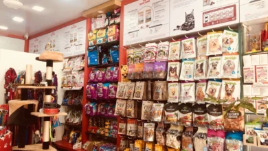 Pet Care in Mira Bhayandar: Vets, Shops & Grooming You Can Trust